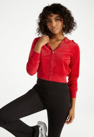 Velour Cropped Hoodie