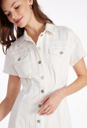 Seamed Denim Mini Dress